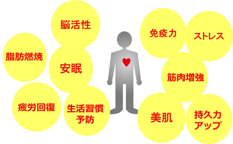 プラセンタの効果